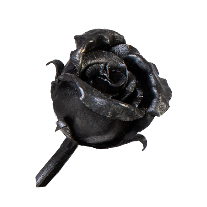 Rose – Closed bud