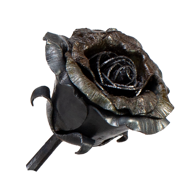 Rose – Semi-open bud